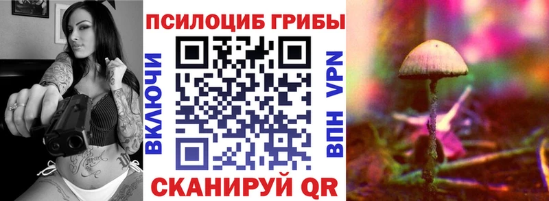 цена наркотик Полевской Псилоцибиновые грибы Magic Shrooms